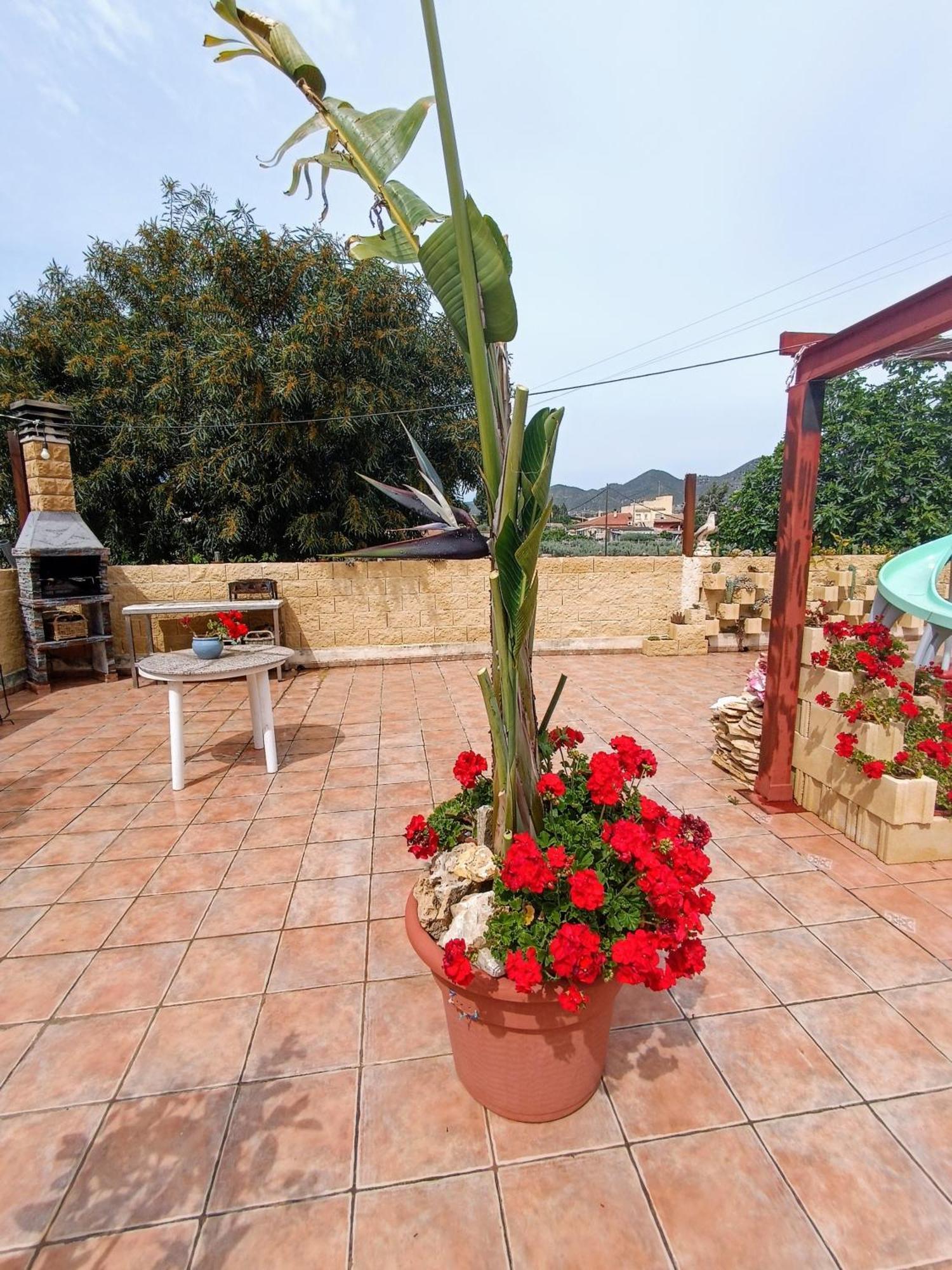 Casa Chalet Venta Ruizo Lorca  Extérieur photo